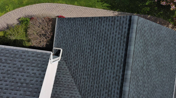 Best Roof Leak Repair  in Paonia, CO