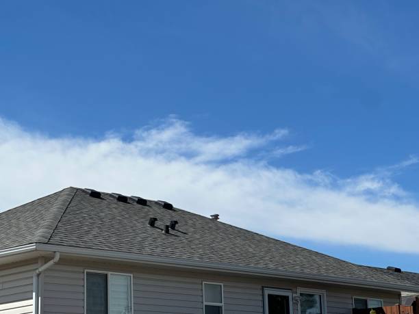 Best Gutter Installation and Repair  in Paonia, CO